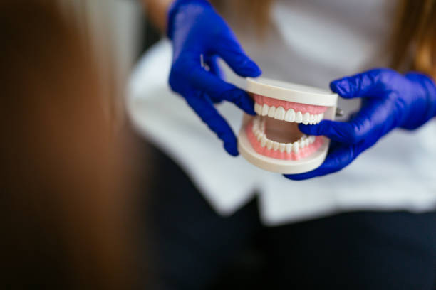 Reliable Glasgow, MO Holistic Dental Care Services Solutions